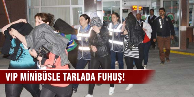 VIP minibüsle tarlada fuhuş!