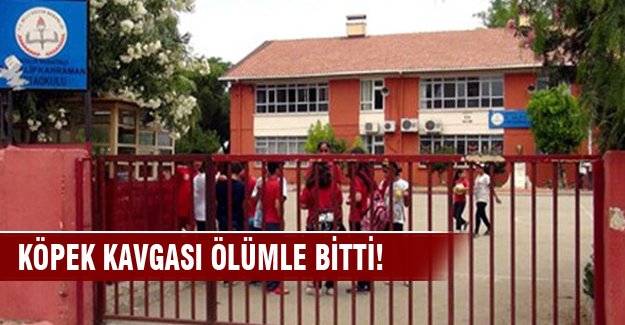 Ortaokul öğrencisi, hizmetliyi köpek kavgasında öldürdü