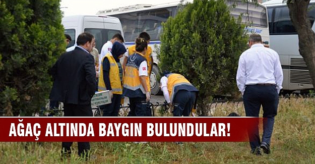 Ağaç altında baygın buldular
