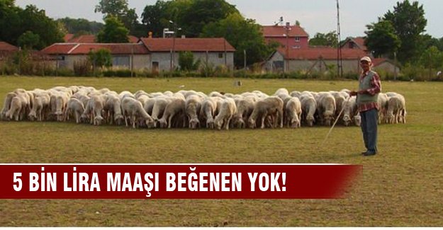 5 bin lira maaşı beğenen yok