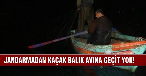 Bursa'da jandarmadan kaçak balık avına geçit yok!