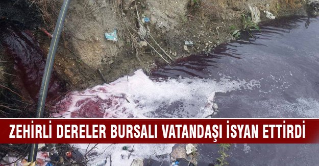 Zehir içinde dereler Bursalı vatandaşı isyan ettirdi