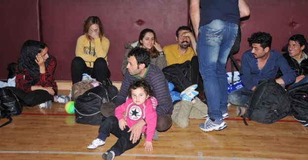 84 kaçak göçmen yakalandı