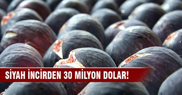 Siyah incirden 30 milyon dolar