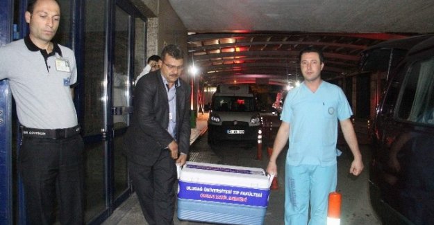 Onlarca yıl kaçak yaşadıktan sonra...