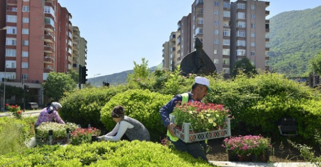 Yıldırım'da bir ayda bin 113 ağaç