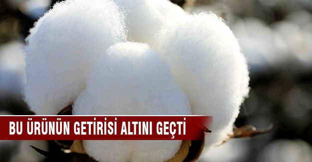 Pamuğun getirisi altını geçti