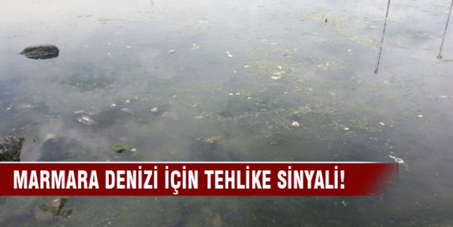 Marmara Denizi için tehlike sinyali!