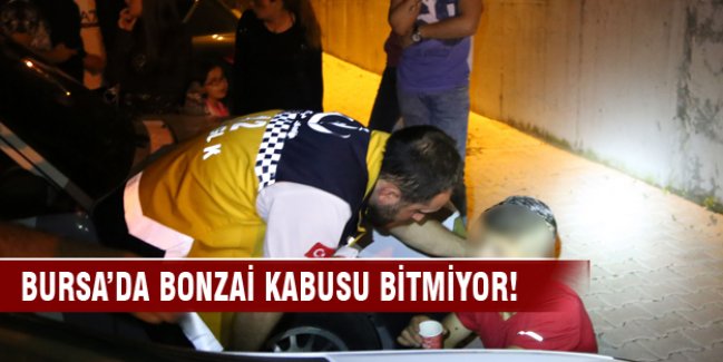 Bursa'da bonzai yine hastanelik etti!