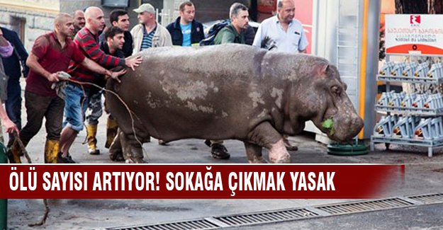 Ölü sayısı artıyor! Sokağa çıkmak yasaklandı