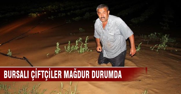 Bursalı çiftçiler mağdur durumda!