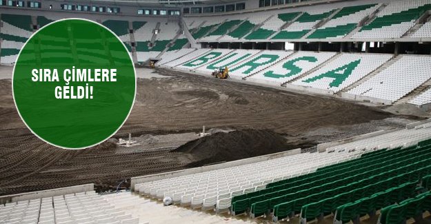 Timsah Arena'da sıra çimlere geldi