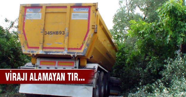 Virajı alamayan tır zeytin ağaçlarını sökerek durdu