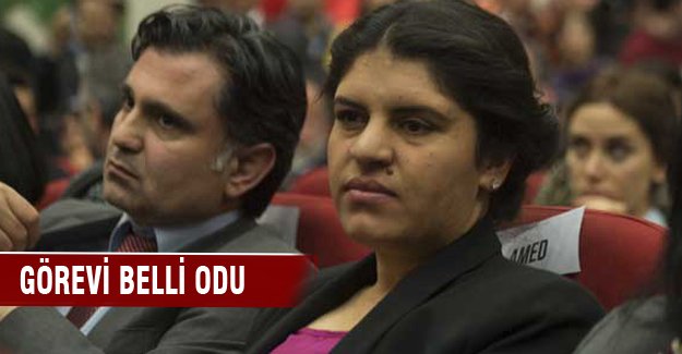 Öcalan'ın yeğeni Baykal'a yardımcı olacak