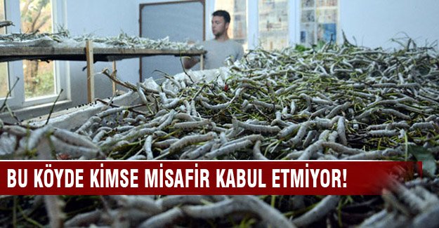 Evlerini onlarla paylaşıp kimseyi misafir kabul etmiyorlar