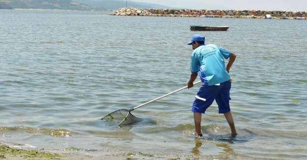 Bursa sahilleri kirlilikten arındı