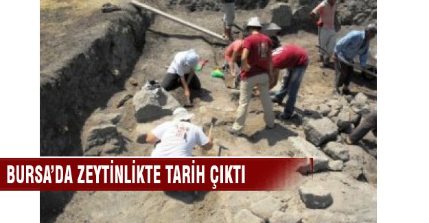 Bursa'da zeytinlikten tarih çıktı!