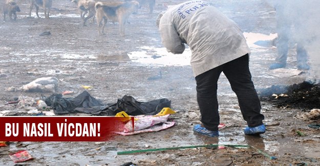 Çöplükte yeni doğmuş bebek cesedi!