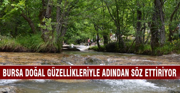 Bursa'ya gelen hayran kalıyor