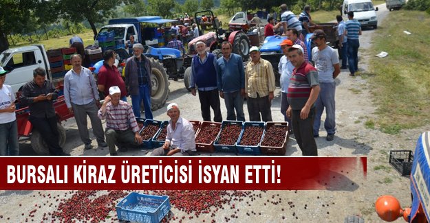 Bursalı kiraz üreticisi isyan etti! Kirazlarla yolu kapattılar