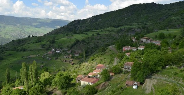 Bu köy 15 gündür elektriksiz