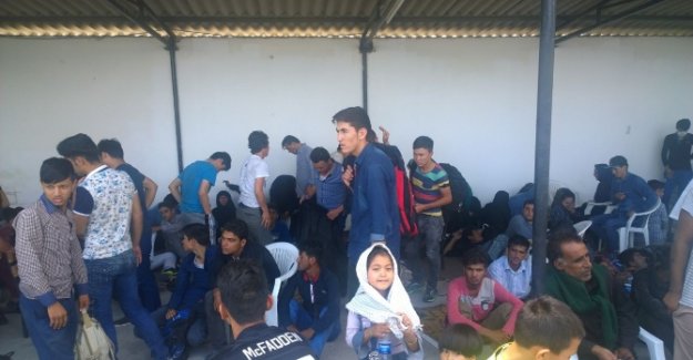 113 kaçak göçmen yakalandı
