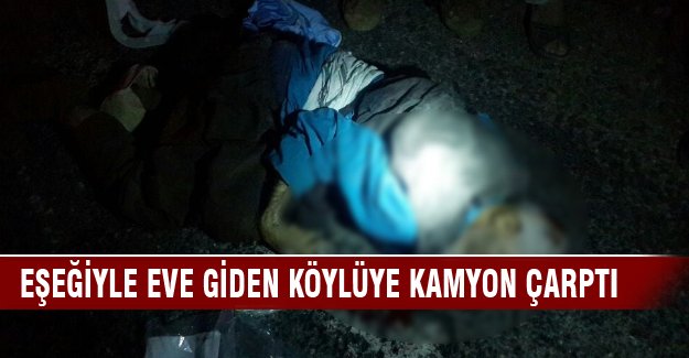 Eşeğiyle evine giderken kamyon çarptı!