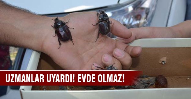 Uzmanlar uyardı! Evde olmaz!