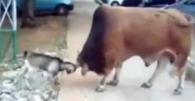 Önemli olanın bilek değil, yürek olduğunu herkese gösterdi