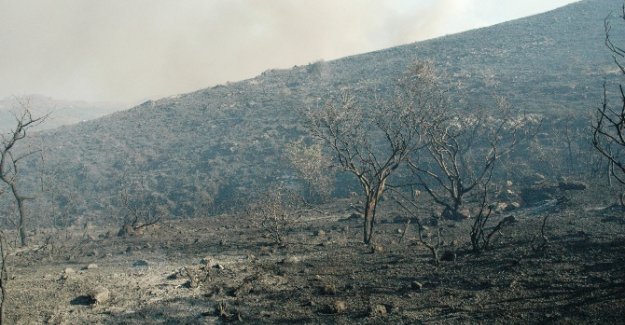 121 hektar kül oldu