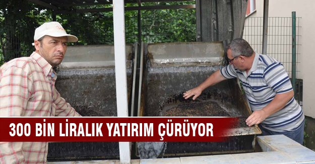 Bursa'da 300 bin liralık yatırım çürüyor!