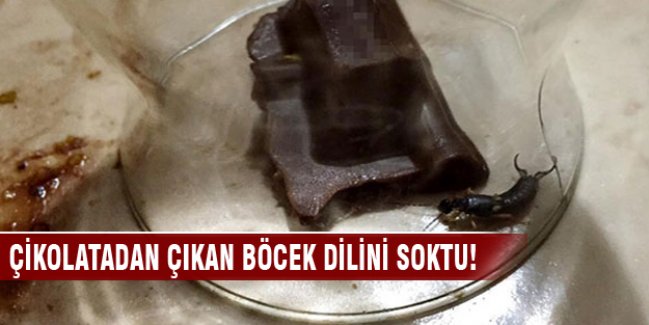 Isırdığı çikolatadan çıkan böcek dilini ısırdı