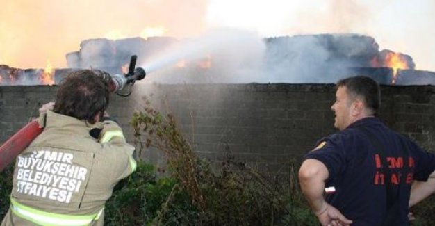 Kağıt fabrikası alev aldı