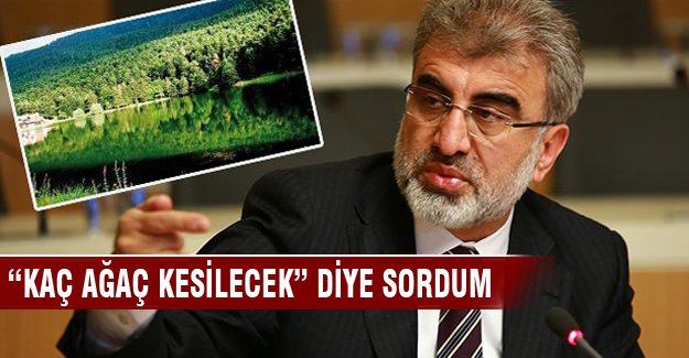 Taner Yıldız 'Kaç ağaç kesilecek?' diye sordum