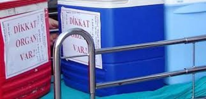 Şehit asker Bursa'da hayat verdi