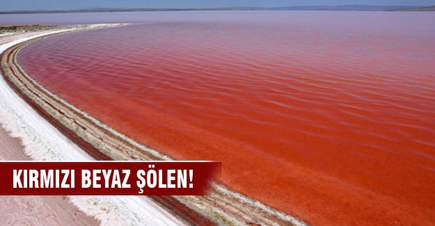 Tuz Gölü'nde "kırmızı beyaz şölen"