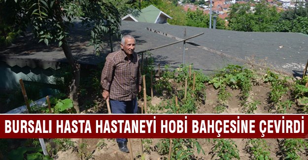 Bursa Devlet Hastanesi bahçesinde biber, domates, nane yetiştiriyor