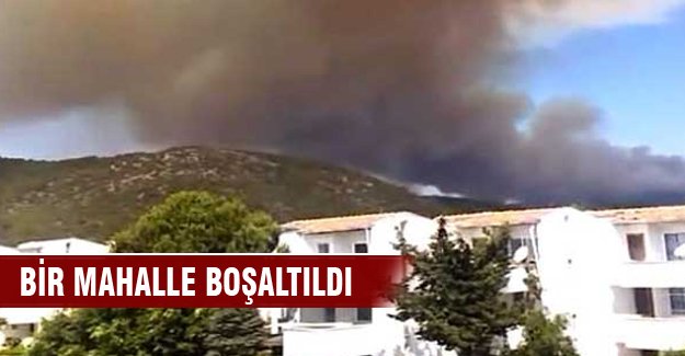 Mersin'de orman yangını, bir mahalle boşaltıldı