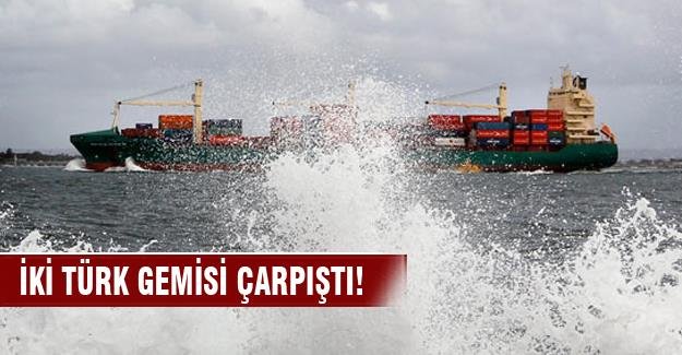 İki Türk kum kosteri çarpıştı