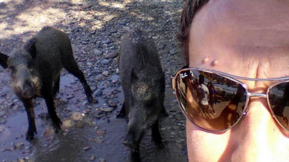 Şehir merkezine indiler!