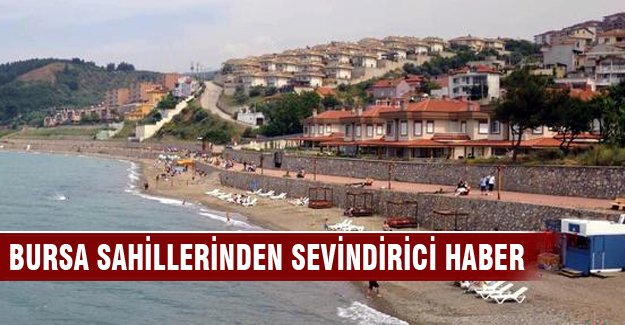 Bursa sahillerinden sevindirici haber