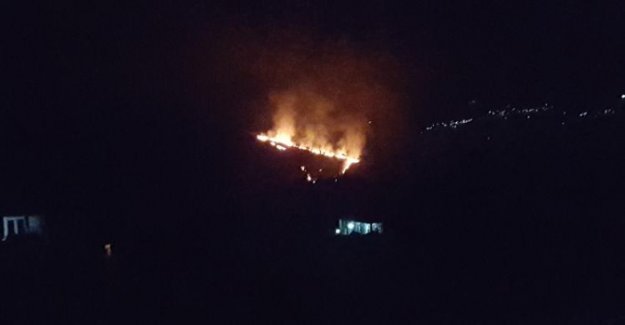 Sınırda orman yangını