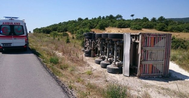 Arıyı kovalarken şarampole uçtu