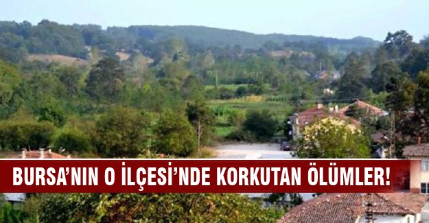 Kansere bağlı ölümler mahalleliyi korkutuyor