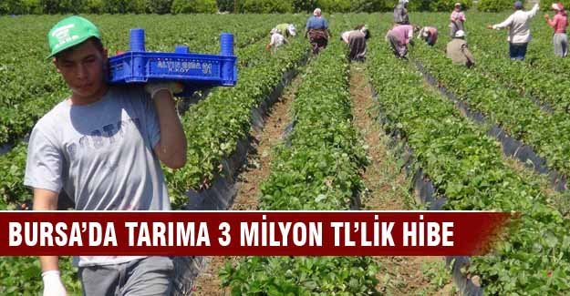 Bursa'da tarıma 3 milyon TL'lik hibe
