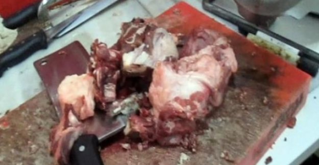 Yapılan operasyonda 63 kilogram domuz eti ele geçirildi