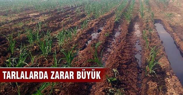 Kerkük Yumurtalık'a saldırı