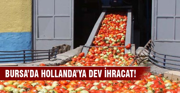 Bursa İnegöl'den Hollanda'ya dev ihracat