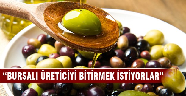 Marmarabirlik Yönetim Kurulu Başkan "Bursalı üreticiyi bitirmeye çalışıyorlar"