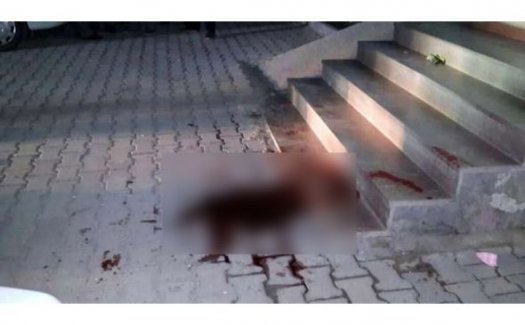 Genç kız evde kimse yok diye...